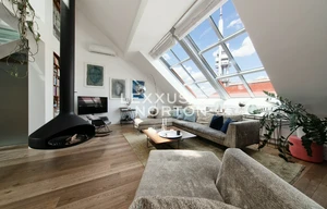 Apartment for rent, 4+kk - 3 bedrooms, 261m<sup>2</sup>