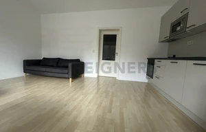 Apartment for rent, 2+kk - 1 bedroom, 54m<sup>2</sup>