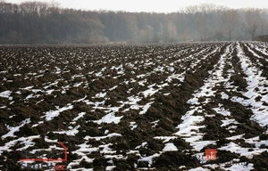 Field for sale, 46553m<sup>2</sup>