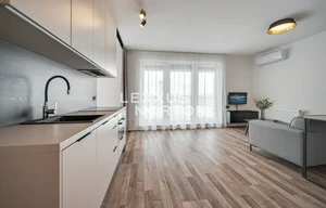 Apartment for rent, 1+KK - Studio, 39m<sup>2</sup>