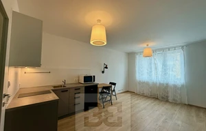 Apartment for rent, 1+KK - Studio, 25m<sup>2</sup>