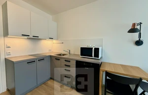 Apartment for rent, 1+KK - Studio, 25m<sup>2</sup>