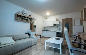Apartment for rent, 1+KK - Studio, 31m<sup>2</sup>