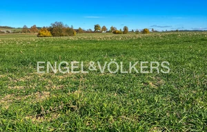 Field for sale, 212000m<sup>2</sup>