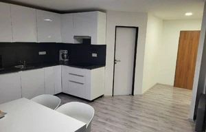 Apartment for rent, 2+kk - 1 bedroom, 55m<sup>2</sup>