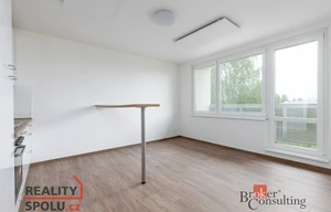 Apartment for rent, 2+kk - 1 bedroom, 55m<sup>2</sup>