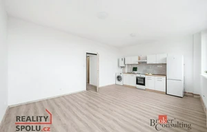 Apartment for rent, 1+KK - Studio, 45m<sup>2</sup>