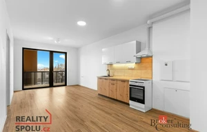 Apartment for rent, 2+kk - 1 bedroom, 45m<sup>2</sup>