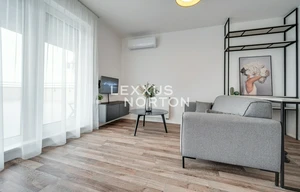 Apartment for rent, 1+KK - Studio, 39m<sup>2</sup>