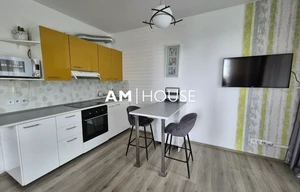 Apartment for rent, 1+KK - Studio, 38m<sup>2</sup>