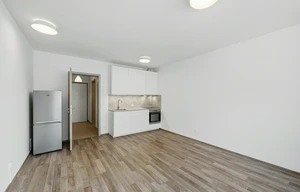 Apartment for rent, 1+KK - Studio, 35m<sup>2</sup>