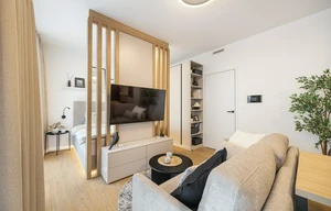 Apartment for rent, 1+KK - Studio, 53m<sup>2</sup>