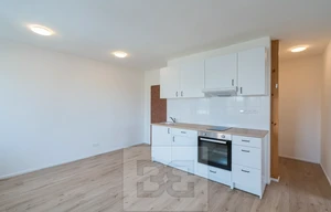 Apartment for rent, 3+kk - 2 bedrooms, 40m<sup>2</sup>