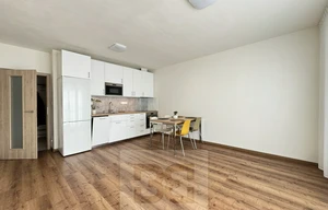 Apartment for rent, 2+kk - 1 bedroom, 55m<sup>2</sup>