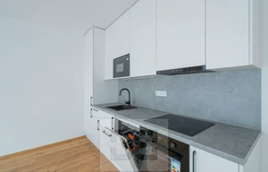 Apartment for rent, 1+KK - Studio, 43m<sup>2</sup>
