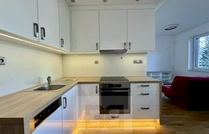 Apartment for rent, 1+KK - Studio, 44m<sup>2</sup>