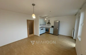 Apartment for rent, 1+KK - Studio, 39m<sup>2</sup>