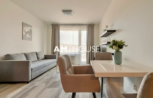 Apartment for rent, 1+KK - Studio, 34m<sup>2</sup>