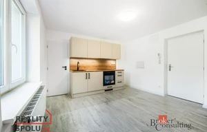 Apartment for rent, 1+1 - Studio, 45m<sup>2</sup>