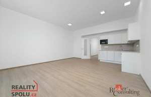 Apartment for rent, 1+KK - Studio, 50m<sup>2</sup>