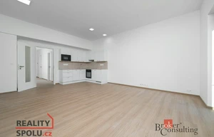 Apartment for rent, 1+KK - Studio, 50m<sup>2</sup>