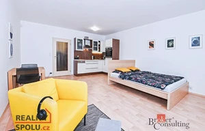 Apartment for rent, 1+KK - Studio, 40m<sup>2</sup>