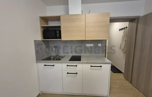 Apartment for rent, 1+KK - Studio, 30m<sup>2</sup>
