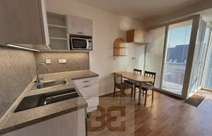 Apartment for rent, 1+KK - Studio, 31m<sup>2</sup>