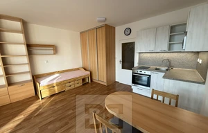 Apartment for rent, 1+KK - Studio, 31m<sup>2</sup>