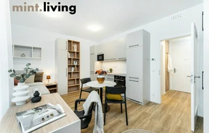 Apartment for rent, 1+KK - Studio, 36m<sup>2</sup>