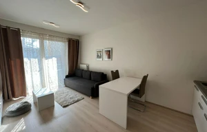 Apartment for rent, 1+KK - Studio, 30m<sup>2</sup>