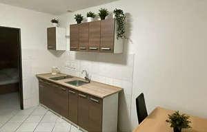 Apartment for rent, 2+kk - 1 bedroom, 55m<sup>2</sup>