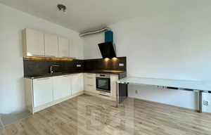 Apartment for rent, 1+KK - Studio, 42m<sup>2</sup>