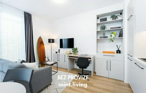 Apartment for rent, 2+kk - 1 bedroom, 45m<sup>2</sup>