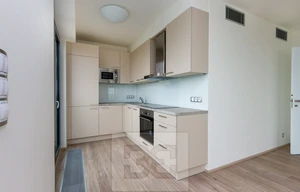 Apartment for rent, 2+kk - 1 bedroom, 66m<sup>2</sup>