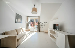 Apartment for rent, 2+kk - 1 bedroom, 55m<sup>2</sup>