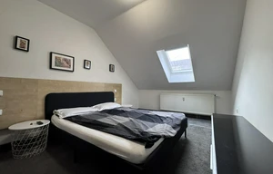 Apartment for rent, 2+kk - 1 bedroom, 55m<sup>2</sup>