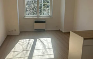 Apartment for rent, 1+KK - Studio, 30m<sup>2</sup>