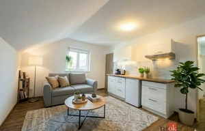 Apartment for rent, 2+kk - 1 bedroom, 45m<sup>2</sup>