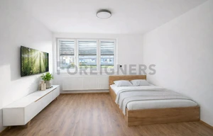 Apartment for rent, 1+KK - Studio, 30m<sup>2</sup>