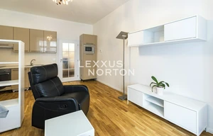 Apartment for rent, 1+KK - Studio, 31m<sup>2</sup>