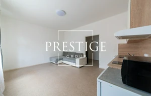 Apartment for rent, 1+KK - Studio, 31m<sup>2</sup>