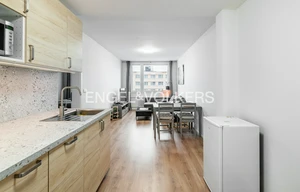 Apartment for rent, 2+kk - 1 bedroom, 47m<sup>2</sup>