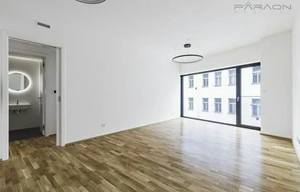 Apartment for rent, 2+kk - 1 bedroom, 55m<sup>2</sup>