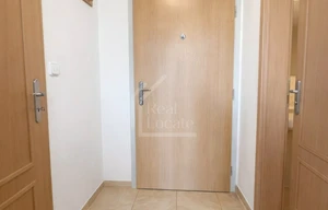 Apartment for rent, 1+KK - Studio, 45m<sup>2</sup>
