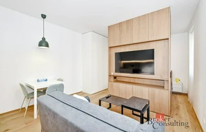 Apartment for rent, 1+KK - Studio, 36m<sup>2</sup>