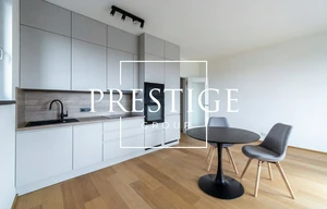 Apartment for rent, 1+KK - Studio, 41m<sup>2</sup>