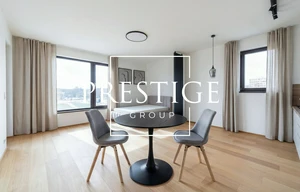 Apartment for rent, 1+KK - Studio, 41m<sup>2</sup>