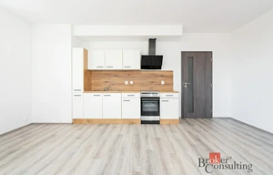 Apartment for rent, 1+KK - Studio, 36m<sup>2</sup>