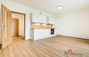 Apartment for rent, 1+KK - Studio, 32m<sup>2</sup>